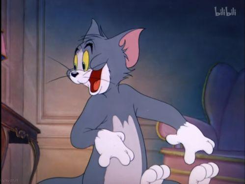 爆料猫玩老鼠视频下载,下载背后的趣味与争议  第3张