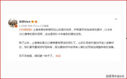 董祥爆料孙准浩视频播放,真相与争议并存  第3张