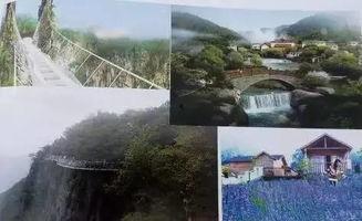 梅林镇梅南村爆料事件视频,真相与争议交织