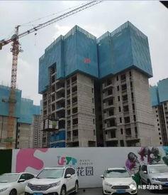 鸿阜园最新爆料新闻视频,揭秘神秘项目背后的惊人真相！  第3张