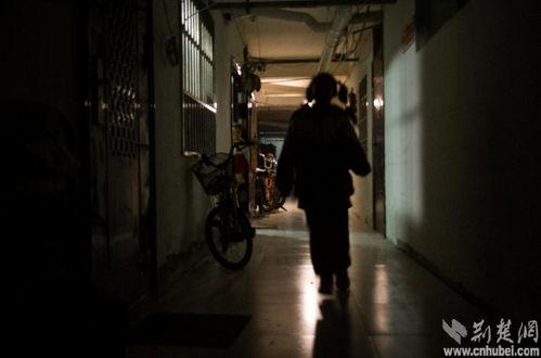 地下室在线观看,地下室在线观看之旅  第3张