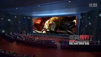 哈尔滨万达爆料视频,项目进展与幕后故事  第2张