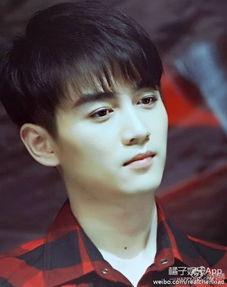 娱乐吃瓜男明星头发,揭秘男明星头发的秘密与魅力  第2张