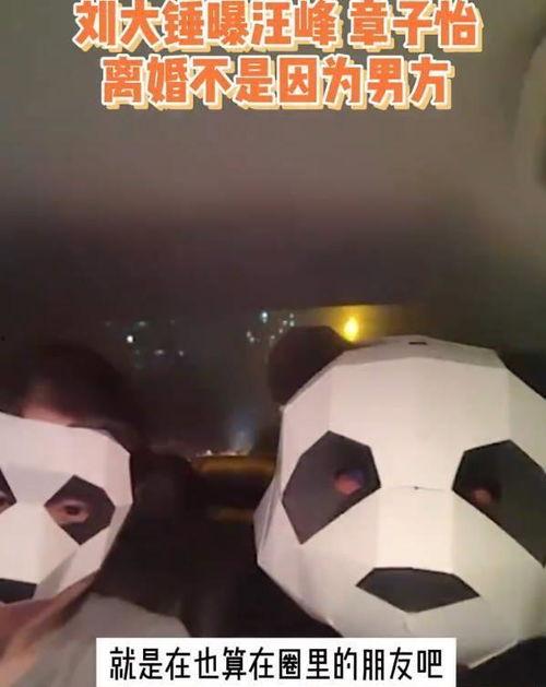 刘大锤最新爆料汪峰视频,揭秘摇滚传奇背后的故事  第2张