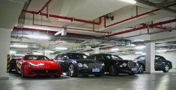 娱乐车爆料,揭秘明星座驾背后的故事  第2张